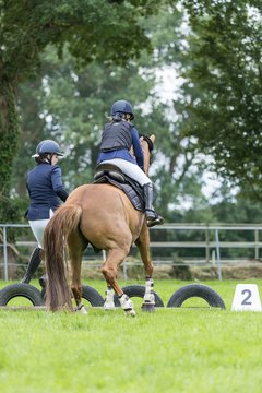 Bild 40 - Pony Akademie Turnier